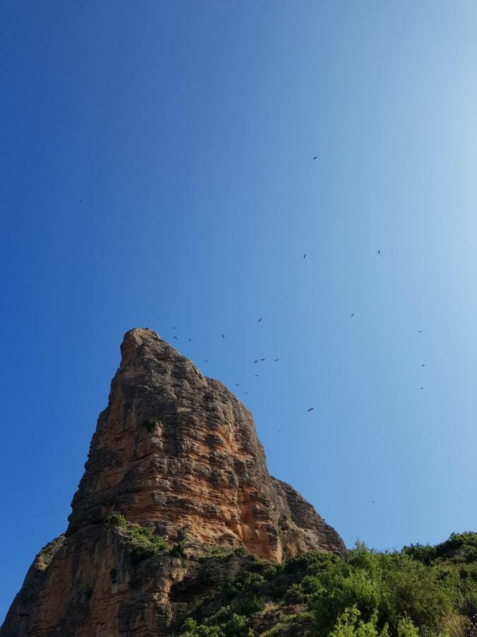 Natura Jordan Мурільйо-де-Ґальєґо Екстер'єр фото